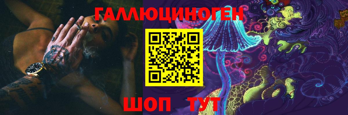 Псилоцибиновые грибы прущие грибы  Вход с VPN  Новошахтинск 